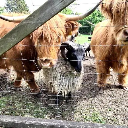 Getreidesilo Casa vacanze