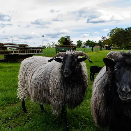 Getreidesilo * Schneverdingen