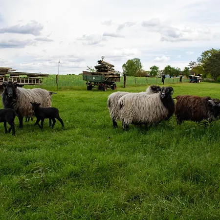 Getreidesilo Casa vacanze *