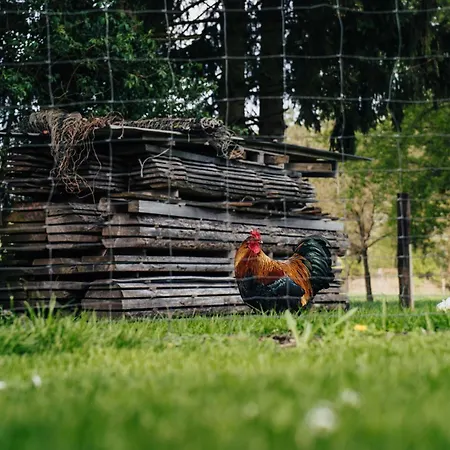 Getreidesilo Casa vacanze
