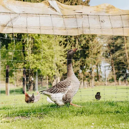 Getreidesilo Casa vacanze *